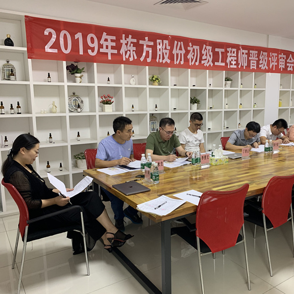 匠心筑夢，人才培養(yǎng)丨棟方股份2019初級工程師晉級評審會(huì)順利舉行